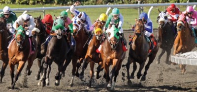 $65,000 Straight Line Looks Like A Great Betting Race