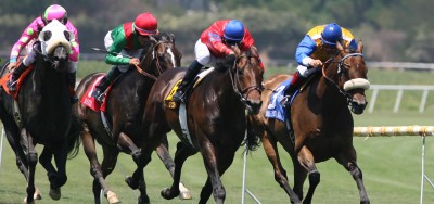 Annecdote (GB) Tops Field for $200,000 Athenia Stakes at Belmont