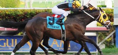 Cairo Prince Takes Holy Bull Stakes