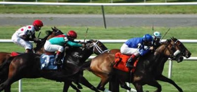 California Chrome Comes Back in Tough Pennsylvania Derby