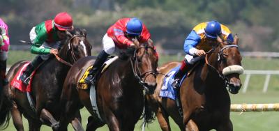 Competitive Field of Ten in The Christiana Stakes at Delaware Park