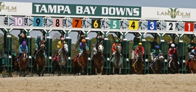 Cosmic Girl Headlines Full Field for $100,000 Suncoast Stakes