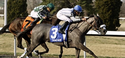 Don't Leave Me Looms As Favorite in $150,000 Selene Stakes