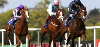 Eight Set to Go in Suwannee River Stakes