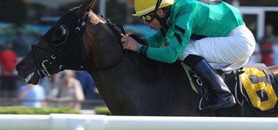 Familiar Foes Square Off in $200,000 Mohawk Stakes