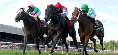 Fourteen Competitors Set for $75,000 Gulfstream Park Turf Sprint Stakes