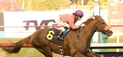 Grade 1 $300,000 La Brea First of Three stakes at Santa Anita