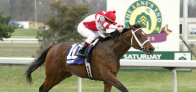 Grade 3 Spiral Offers 50 Derby Points in Great Betting Race