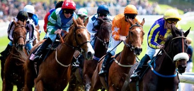 Hubba Shake and Platinum Price Likely to Improve In Juvenile Turf