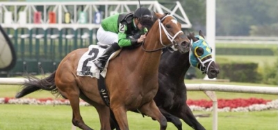 Illinois-Bred The Pizza Man Tops Field for $200,000 Wise Dan Stakes