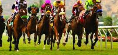 International Field Set For Belmont Derby Invitational