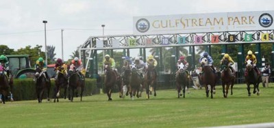 Nine Two-Year-Old Fillies Set for $100,000 Juvenile Filly Turf