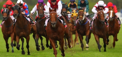 Plenty of Enticing Angles in Grade 3 Palm Beach