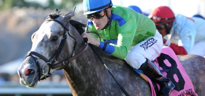 Power Alert (AUS) Back Off Layoff as Favorite in $100,000 Turf Dash Stakes