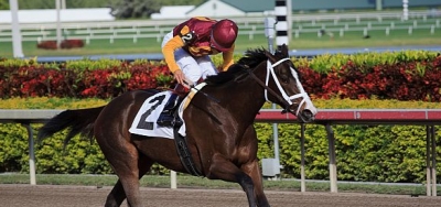 Ride On Curlin Takes on Seven in $100,000 Essex Handicap