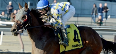 Salutos Amigos Going for Third Straight in $150,000 Toboggan Stakes