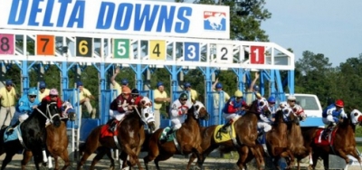 Smitty's Cougar Facing Eight Rivals in $100,000 Azalea Stakes