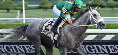 Stonetastic Facing Nine Rivals in $200,000 Inside Information Stakes