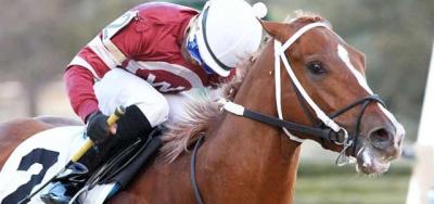 Tapiture Returns to Take on Six in The Matt Winn Stakes