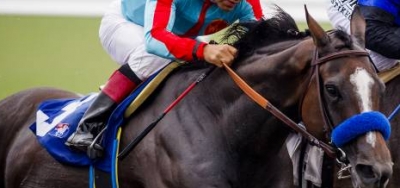 Tiz Midnight Leads the Way in $75,000 Paseana Stakes