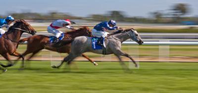 Turf Sprinters Featured in the $100,000 Quick Call Stakes