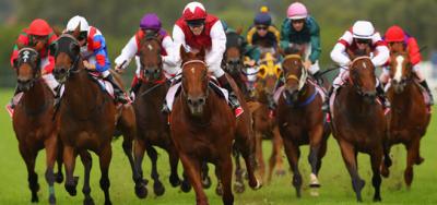 Upstart Colts With Something to Prove in $200,000 American Derby