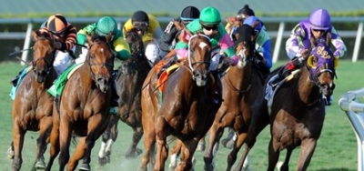 Vyjack and Reload Square Off in Lure Stakes