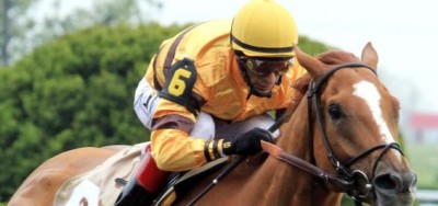 Wise Dan Faces Seven Rivals in $1 million Shadwell Mile